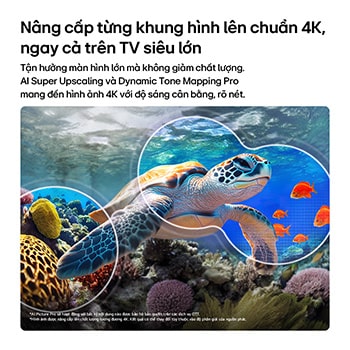 LG QNED evo AI QNED82 Mini LED with AI Picture Pro and Dynamic Tone Mapping Pro shows an underwater scene of a sea turtle gliding above coral and fish, as AI recognizes and upscales each frame up to 4K resolution.
